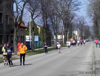 Halbmarathon 2015 - zdjęcie370