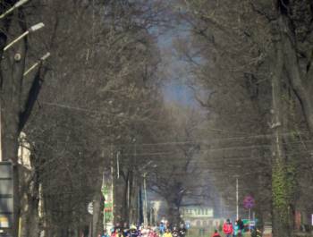 Halbmarathon 2015 - zdjęcie383